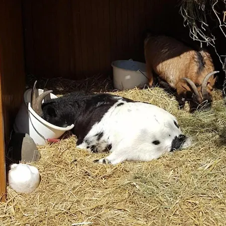 2Bed Gite Sleeps 6 - Pool Hot Tub Parking Château-Garnier